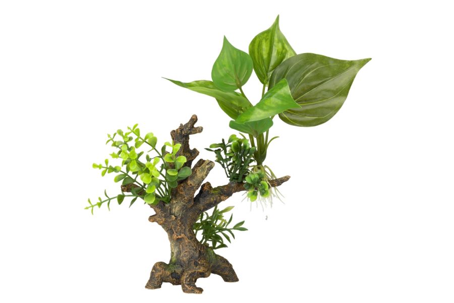 Florascape