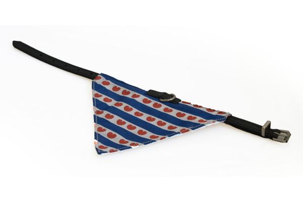 hondenhalsband met Friese vlag zakdoek